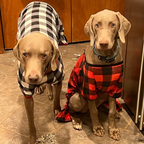 Jackets & Blazers - New bundle for keithamc